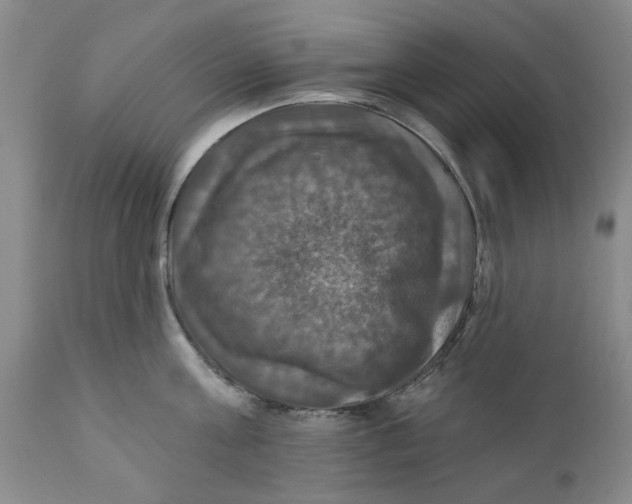 X0000112030811200908241537