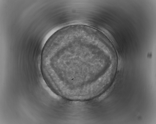 X0000112030812200908241537