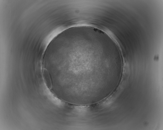 X0000112030813200908241537