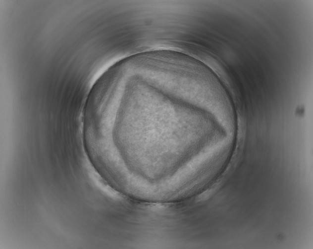 X0000112030814200908241537