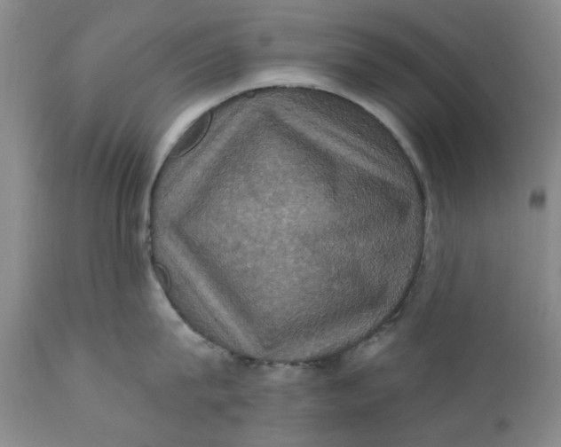 X0000112030815200908241537