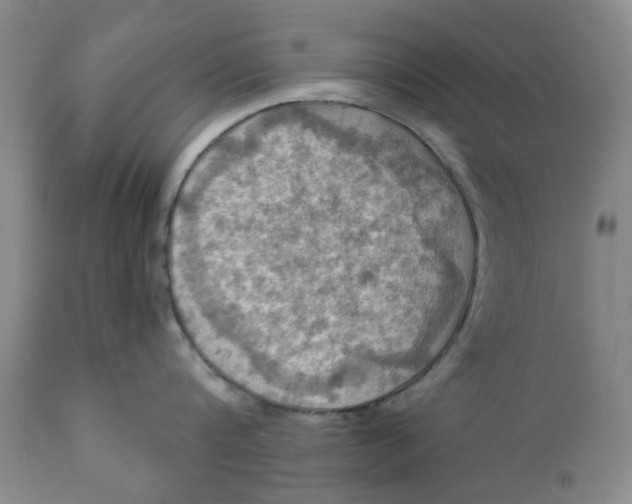 X0000112030816200908241537