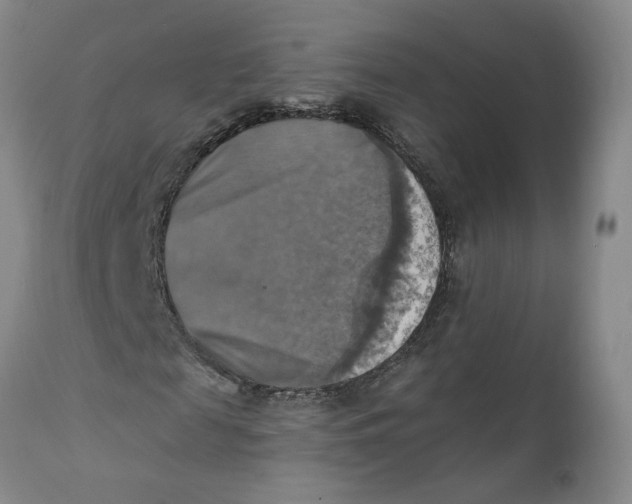 X0000112030817200908241536