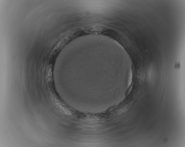 X0000112030818200908241536