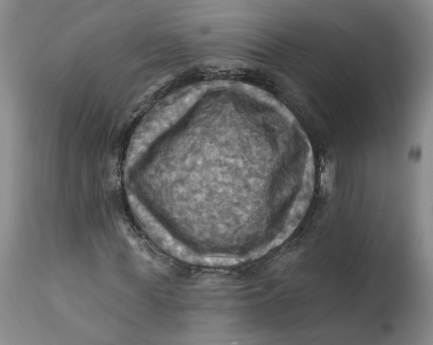 X0000112030819200908241536