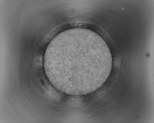 X0000112030820200908241536