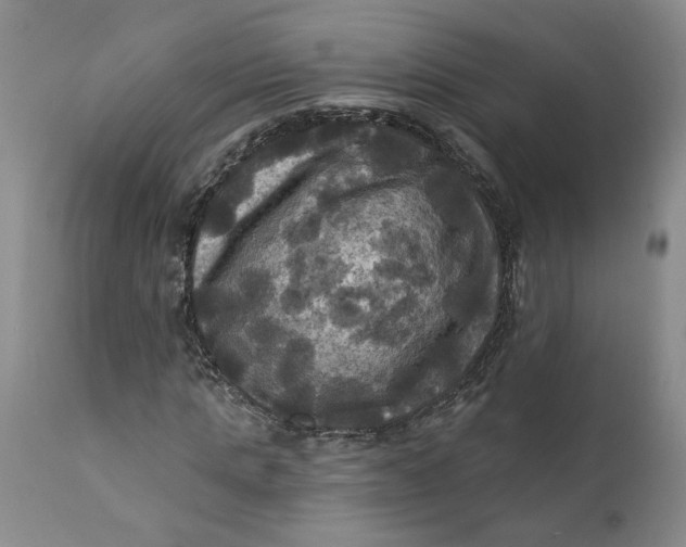 X0000112030821200908241536