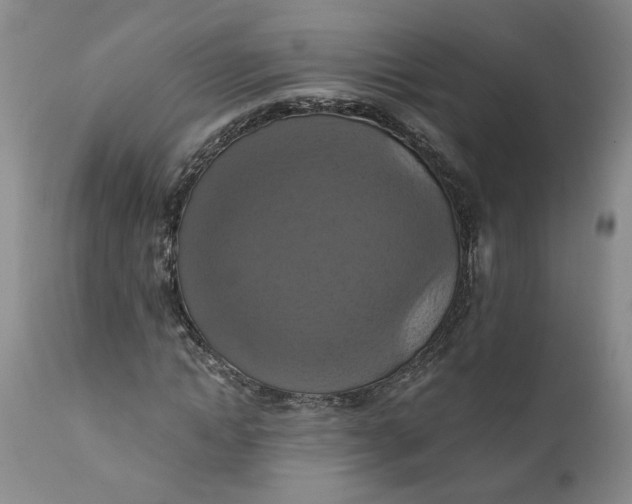 X0000112030822200908241536