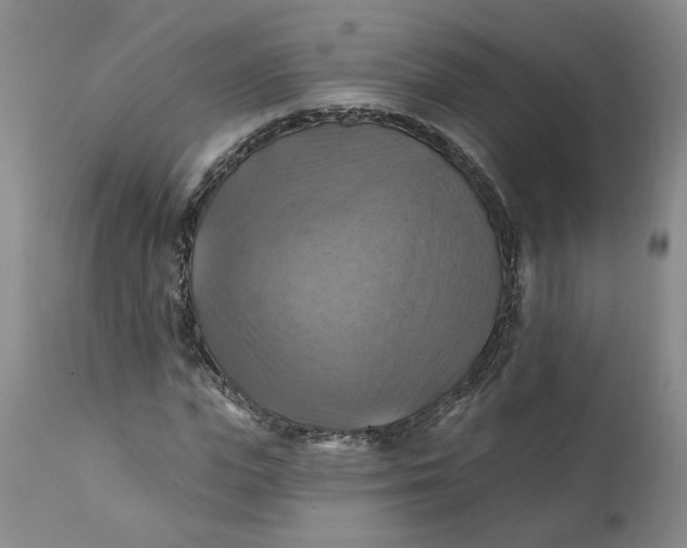 X0000112030823200908241536