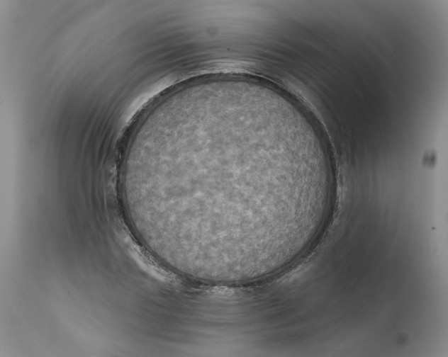 X0000112030827200908241536