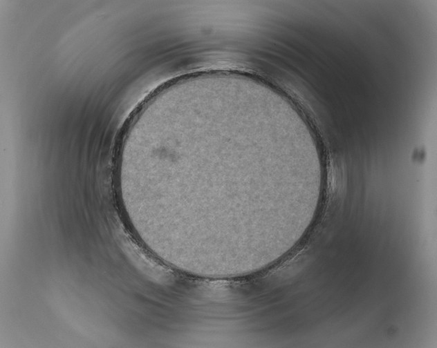 X0000112030828200908241536