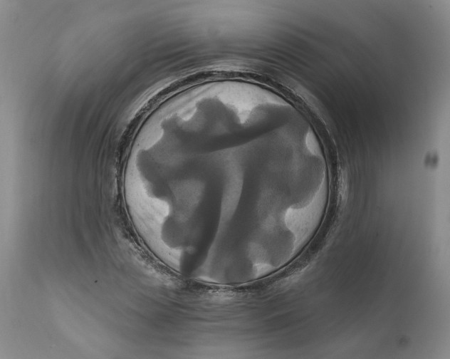 X0000112030829200908241536