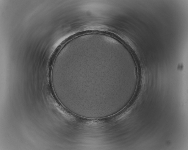 X0000112030830200908241536