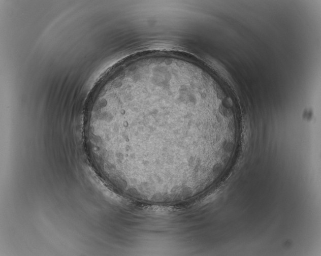 X0000112030831200908241536