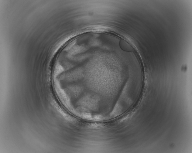 X0000112030835200908241536