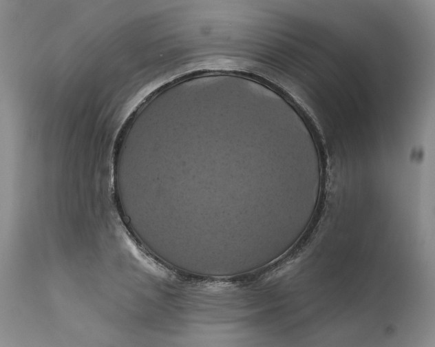 X0000112030837200908241536