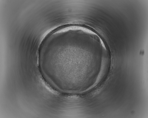 X0000112030838200908241536