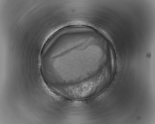 X0000112030839200908241536