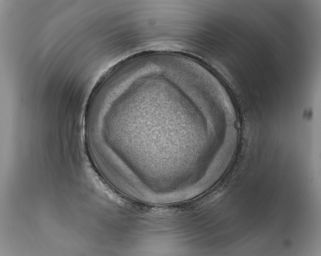 X0000112030840200908241536