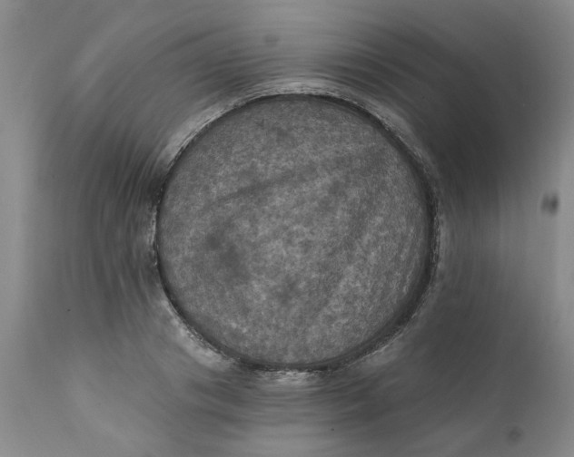 X0000112030841200908241536