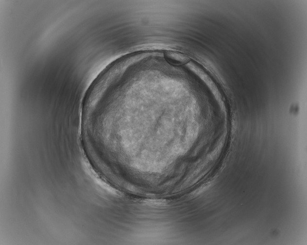 X0000112030844200908241536