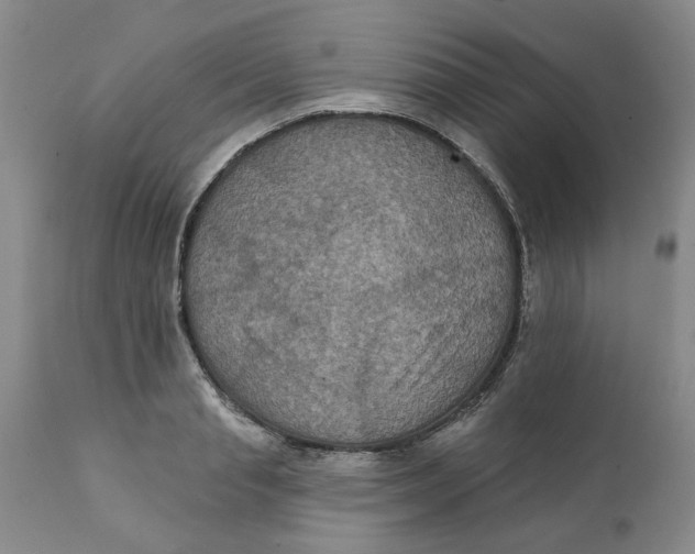 X0000112030845200908241536