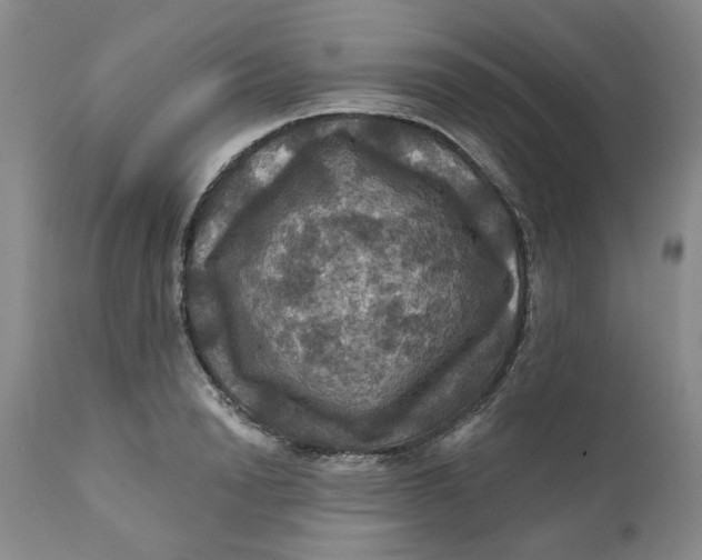 X0000112030846200908241536