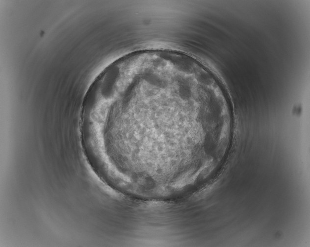 X0000112030847200908241536