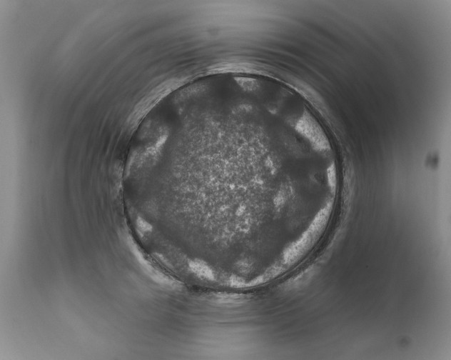 X0000112030849200908241536