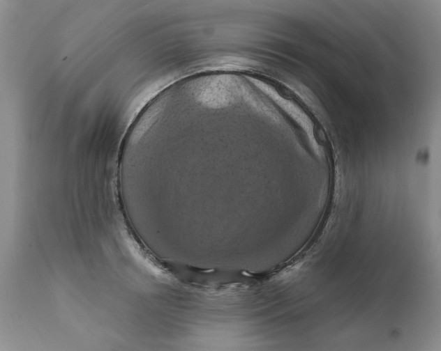 X0000112030850200908241536