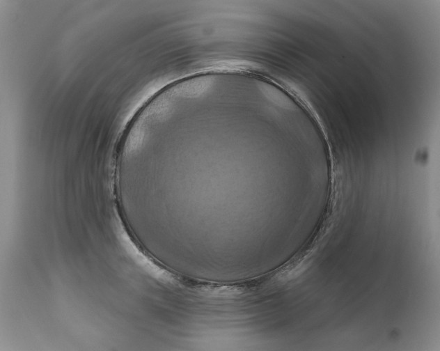 X0000112030851200908241537