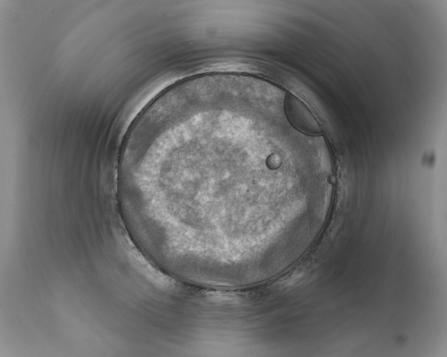 X0000112030852200908241537