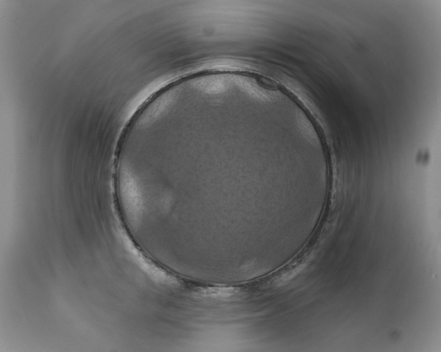 X0000112030853200908241537