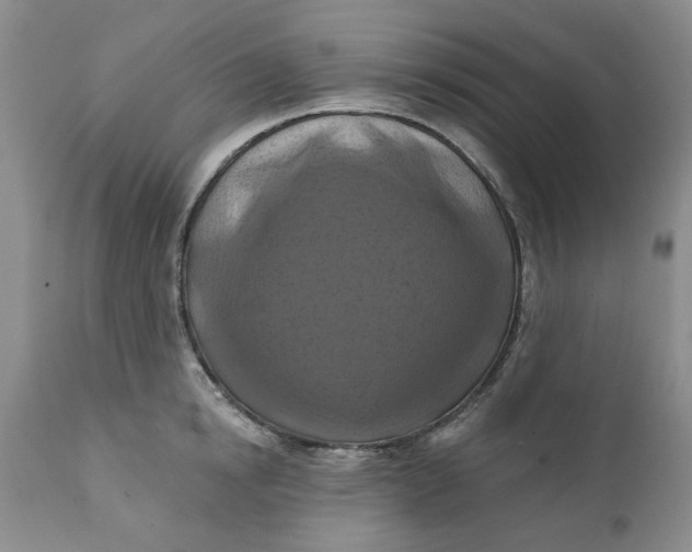 X0000112030854200908241537