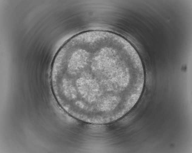 X0000112030856200908241537