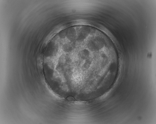 X0000112030857200908241537