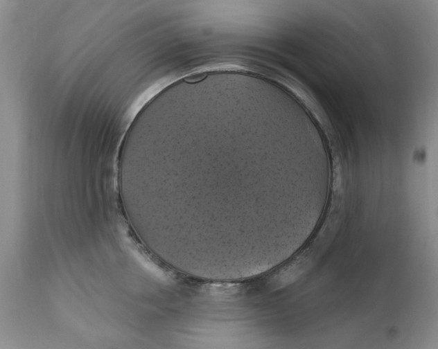 X0000112030858200908241537