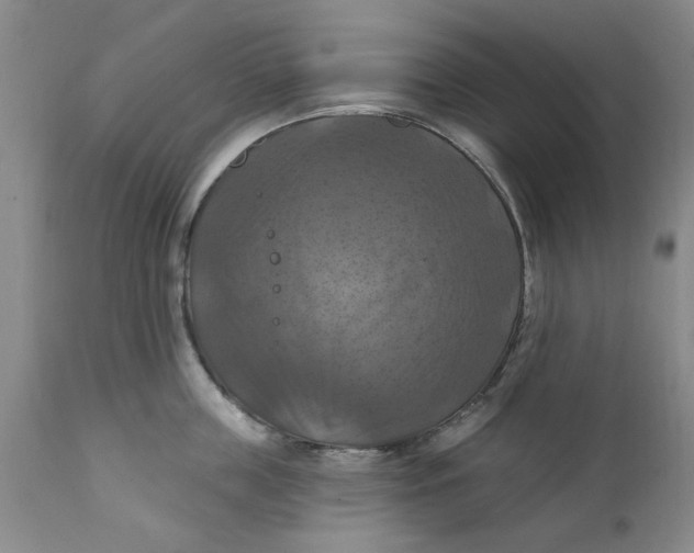 X0000112030859200908241537