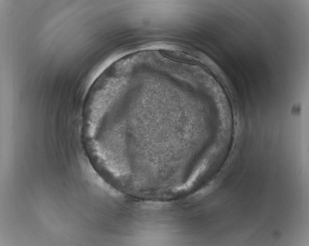 X0000112030860200908241537