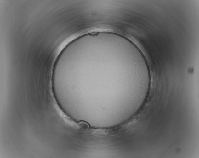 X0000112030861200908241537