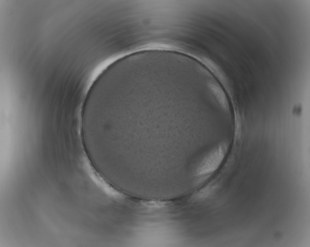 X0000112030862200908241537