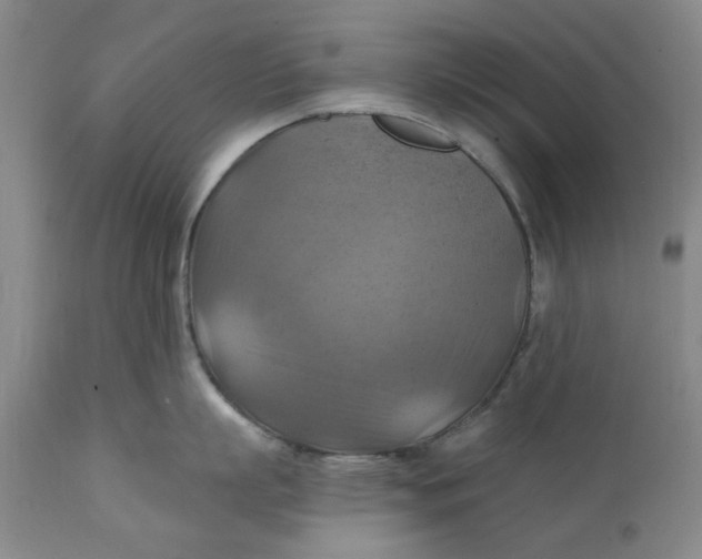 X0000112030863200908241537