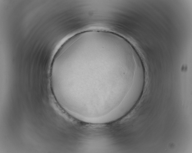 X0000112030864200908241537