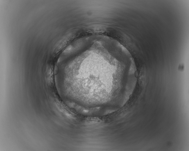 X0000112030866200908241536