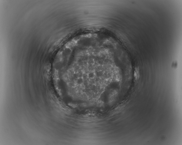 X0000112030867200908241536