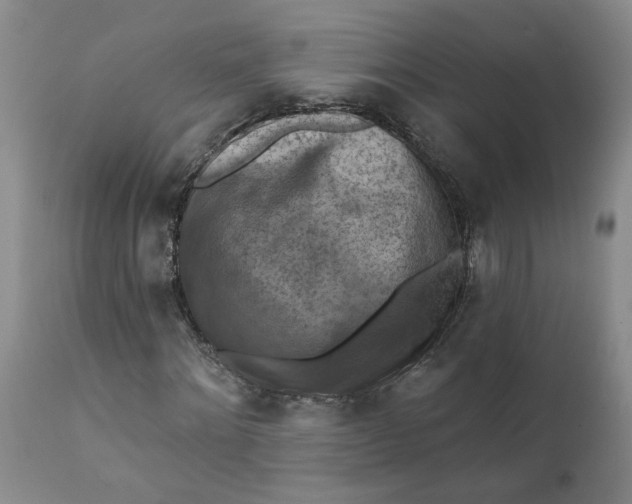 X0000112030868200908241536