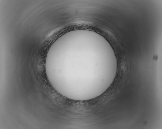 X0000112030869200908241536