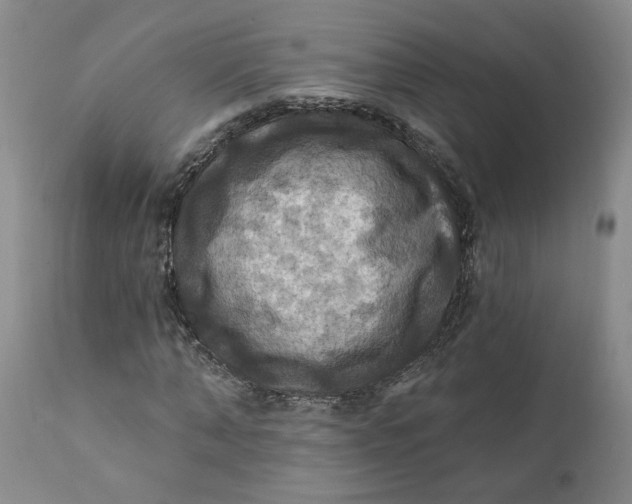 X0000112030870200908241536