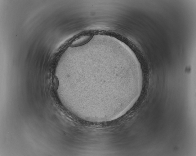 X0000112030872200908241536