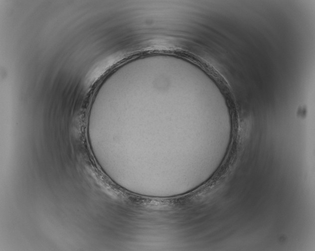 X0000112030874200908241536